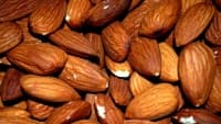 mandle almond-83766 1280